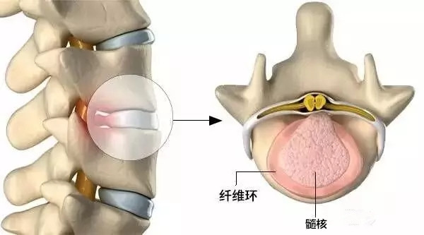 微信图片_20190411154941.jpg